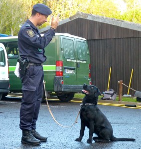 GNR Officer and Police Dog