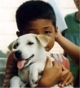 Thai boy and puppy