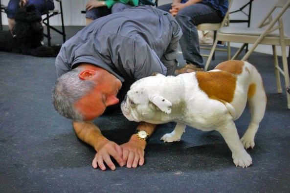 Roger Abrantes and Bulldog