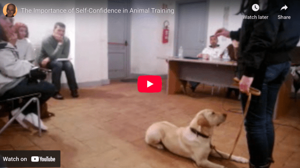 Ilaria Training Italy