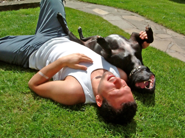 man dog laughing grass