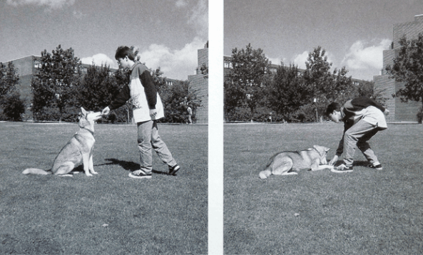 daniel and rassi sit